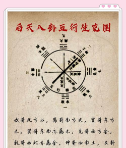 占卜海龟游戏攻略,新手入门技巧,快速上手方法 占卜海龟游戏攻略,新手入门技巧,快速上手方法