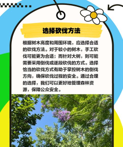 游戏攻略种树技巧,快速上手方法,新手必看指南 游戏攻略种树技巧,快速上手方法,新手必看指南