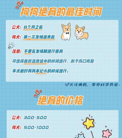 游戏保卫狗狗攻略,掌握核心技巧,轻松通关无压力 游戏保卫狗狗攻略,掌握核心技巧,轻松通关无压力