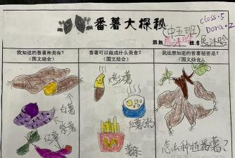 挖红薯游戏怎么玩,掌握核心规则,体验趣味互动 挖红薯游戏怎么玩,掌握核心规则,体验趣味互动