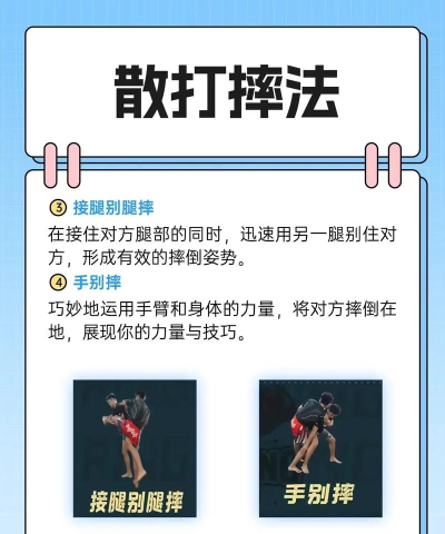 最佳摔角游戏攻略,提升游戏体验,掌握核心技巧 最佳摔角游戏攻略,提升游戏体验,掌握核心技巧