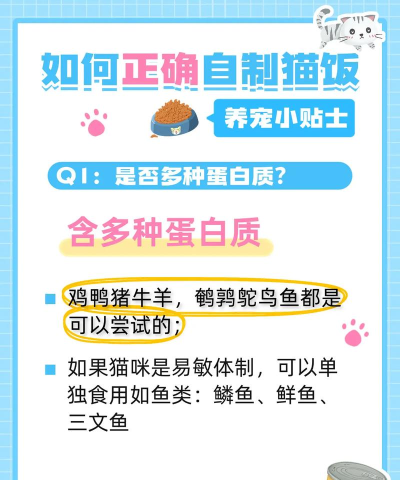 养猫做饭游戏怎么玩,快速上手技巧,趣味玩法指南 养猫做饭游戏怎么玩,快速上手技巧,趣味玩法指南