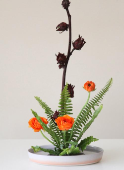 摘花收纳游戏怎么玩,新手入门指南,轻松掌握技巧 摘花收纳游戏怎么玩,新手入门指南,轻松掌握技巧