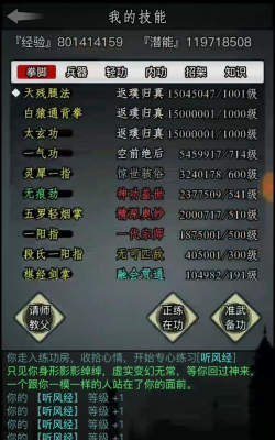 放置游戏斗气怎么玩,掌握核心机制,轻松提升战力 放置游戏斗气怎么玩,掌握核心机制,轻松提升战力