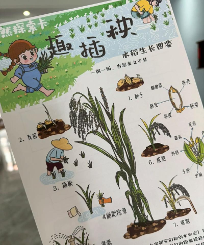 怀旧插秧游戏怎么玩,重温童年乐趣,掌握操作技巧 怀旧插秧游戏怎么玩,重温童年乐趣,掌握操作技巧