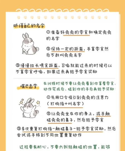 兔子包围游戏怎么玩,掌握规则技巧,轻松上手体验 兔子包围游戏怎么玩,掌握规则技巧,轻松上手体验