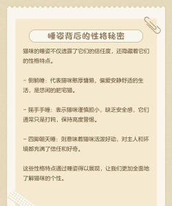 猫咪睡觉是什么游戏,玩法简单,适合放松,体验治愈感 猫咪睡觉是什么游戏,玩法简单,适合放松,体验治愈感