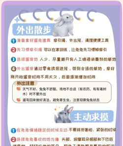 兔子屁屁游戏怎么玩,新手入门指南,轻松掌握技巧 兔子屁屁游戏怎么玩,新手入门指南,轻松掌握技巧