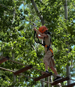 树林挑战游戏怎么玩,掌握核心规则,体验户外乐趣 树林挑战游戏怎么玩,掌握核心规则,体验户外乐趣