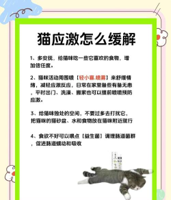 猫咪接吻游戏怎么玩,轻松互动,增进感情 猫咪接吻游戏怎么玩,轻松互动,增进感情