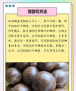 椰子闯关游戏攻略,掌握核心技巧,轻松通关不卡关 椰子闯关游戏攻略,掌握核心技巧,轻松通关不卡关