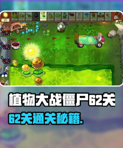 植物大战僵尸杂交版62关怎么过 植物大战僵尸杂交版62关怎么过