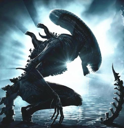 热门的异形系列游戏有哪些 热门的异形系列游戏有哪些