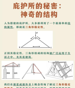 庇护所游戏攻略 庇护所游戏攻略
