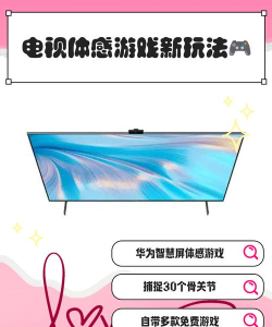 怎么在电视上玩体感游戏 怎么在电视上玩体感游戏