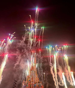 乐园生活游戏攻略 乐园生活游戏攻略