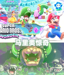 ns能玩什么游戏 ns能玩什么游戏