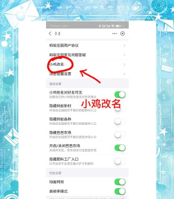 蚂蚁庄园游戏怎么玩 蚂蚁庄园游戏怎么玩