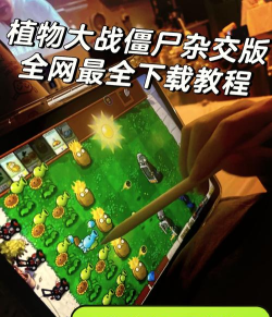 植物大战僵尸手游 植物大战僵尸手游