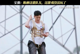 陈赫玩的什么游戏 陈赫玩的什么游戏