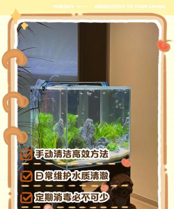 鱼缸怎么刷,清洁步骤详解,轻松保持水质清澈 鱼缸怎么刷,清洁步骤详解,轻松保持水质清澈