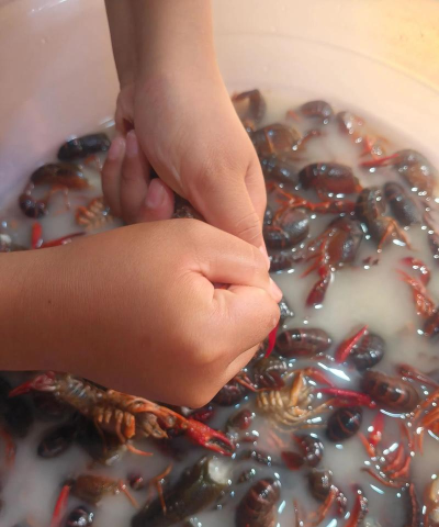 如何捉龙虾,掌握实用技巧,轻松捕获美味 如何捉龙虾,掌握实用技巧,轻松捕获美味