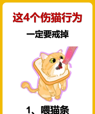 怎么给猫喂食,掌握正确方法,避免常见误区 怎么给猫喂食,掌握正确方法,避免常见误区