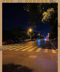 夜间拍照,掌握关键技巧,轻松拍出好照片 夜间拍照,掌握关键技巧,轻松拍出好照片