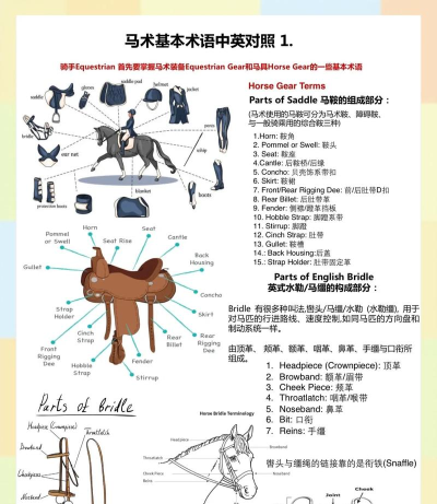 如何套马,掌握关键技巧,安全高效操作 如何套马,掌握关键技巧,安全高效操作