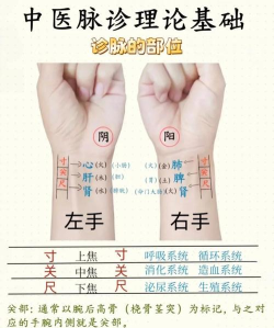 如何打脉,找准位置,掌握技巧 如何打脉,找准位置,掌握技巧