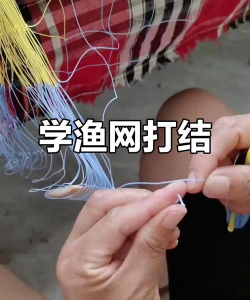 鱼网怎么用,新手入门技巧,常见问题解答 鱼网怎么用,新手入门技巧,常见问题解答