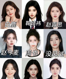 如何找到明星,常见方法盘点,实用经验分享 如何找到明星,常见方法盘点,实用经验分享