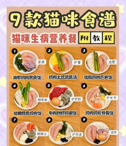 怎么做猫饭,营养搭配,健康喂养 怎么做猫饭,营养搭配,健康喂养