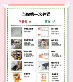 如何购买宠物,避开常见陷阱,找到健康伙伴 如何购买宠物,避开常见陷阱,找到健康伙伴