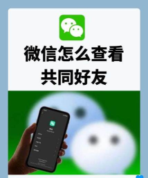 微信如何查看共同好友,了解社交圈,发现潜在联系 微信如何查看共同好友,了解社交圈,发现潜在联系