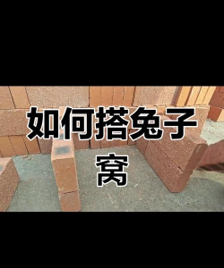 兔窝怎么做,材料选择,搭建步骤 兔窝怎么做,材料选择,搭建步骤
