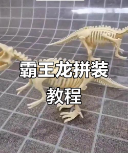 恐龙怎么拼,拼写方法,常见错误 恐龙怎么拼,拼写方法,常见错误