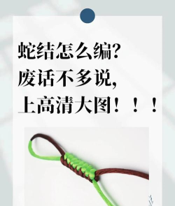 大蛇怎么打,掌握关键技巧,轻松应对挑战 大蛇怎么打,掌握关键技巧,轻松应对挑战