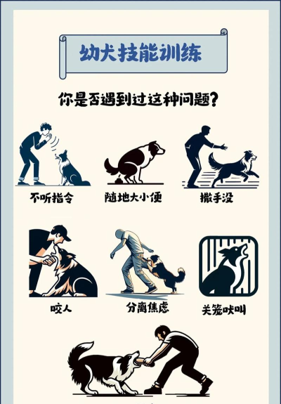 怎么驱赶狗,安全有效,避免冲突 怎么驱赶狗,安全有效,避免冲突