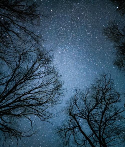 手机怎么拍星星,掌握关键技巧,拍出璀璨夜空 手机怎么拍星星,掌握关键技巧,拍出璀璨夜空