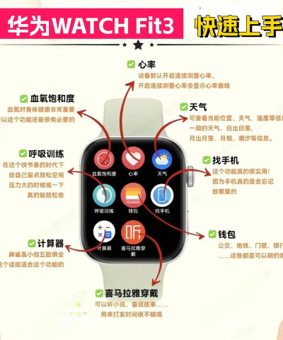 watch怎么用,快速上手,轻松掌握 watch怎么用,快速上手,轻松掌握