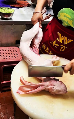 如何杀兔子最简单,减少痛苦,快速处理 如何杀兔子最简单,减少痛苦,快速处理