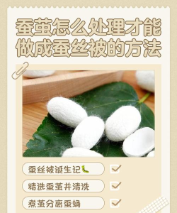 丝绸怎么做,从蚕茧到成品,完整步骤解析 丝绸怎么做,从蚕茧到成品,完整步骤解析