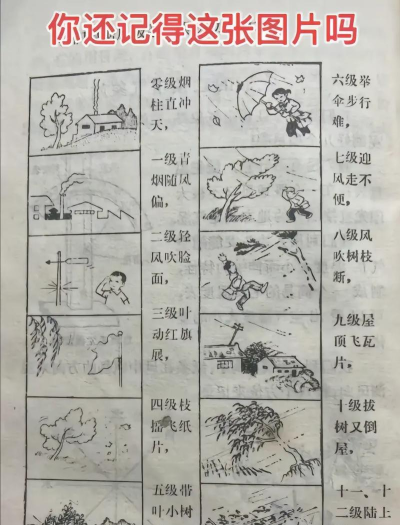 风怎么背,理解记忆要点,掌握高效方法 风怎么背,理解记忆要点,掌握高效方法