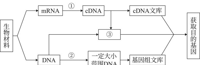 如何获得基因,了解获取途径,掌握基本方法 如何获得基因,了解获取途径,掌握基本方法