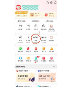 京东白条闪付如何开通,操作步骤详解,常见问题解答 京东白条闪付如何开通,操作步骤详解,常见问题解答