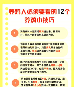 如何喂小鸡,掌握正确方法,确保健康成长 如何喂小鸡,掌握正确方法,确保健康成长
