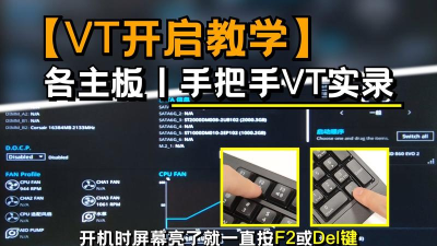 vt怎么打开,常见问题,解决方向 vt怎么打开,常见问题,解决方向