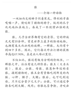 怎么养狼,了解基本知识,确保安全合法 怎么养狼,了解基本知识,确保安全合法