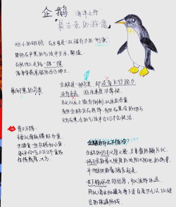 企鹅怎么养,了解基本习性,掌握关键要点 企鹅怎么养,了解基本习性,掌握关键要点